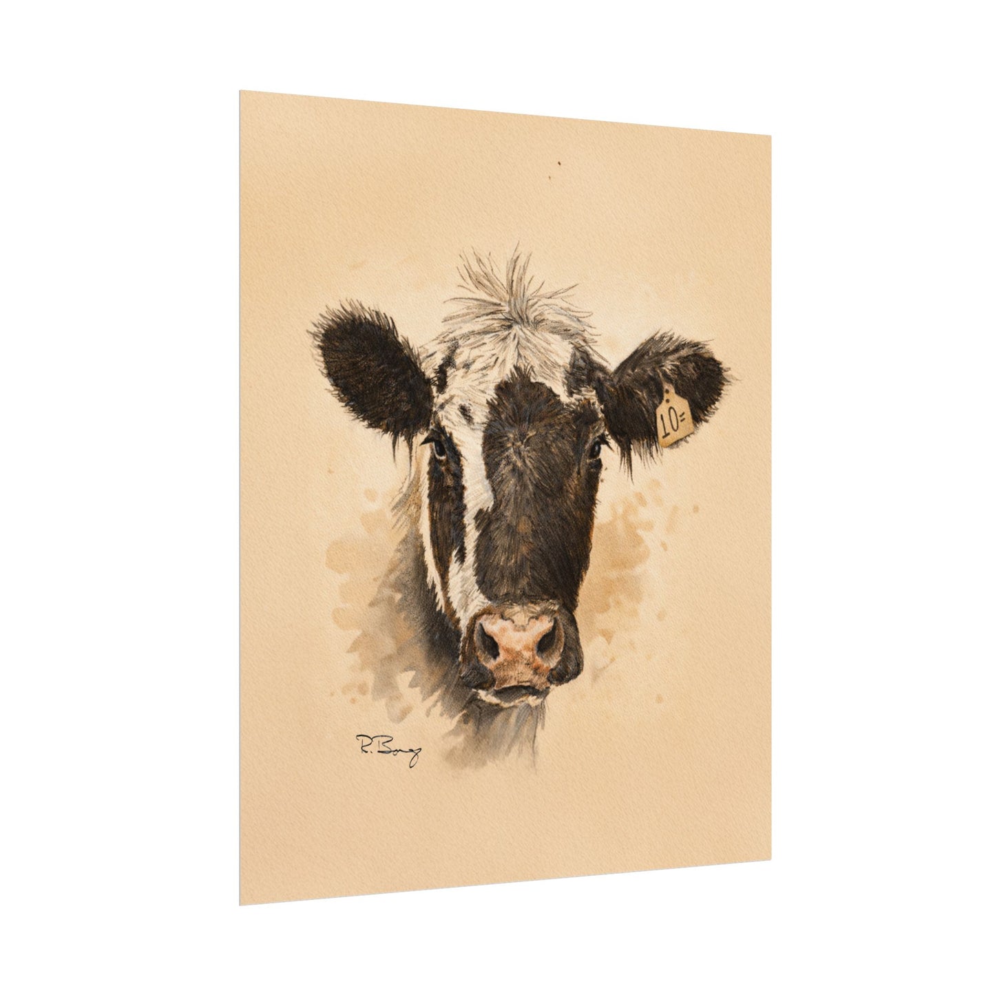 Scruffy Cow Portrait with Eartag Print