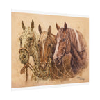 Horse Trio Print