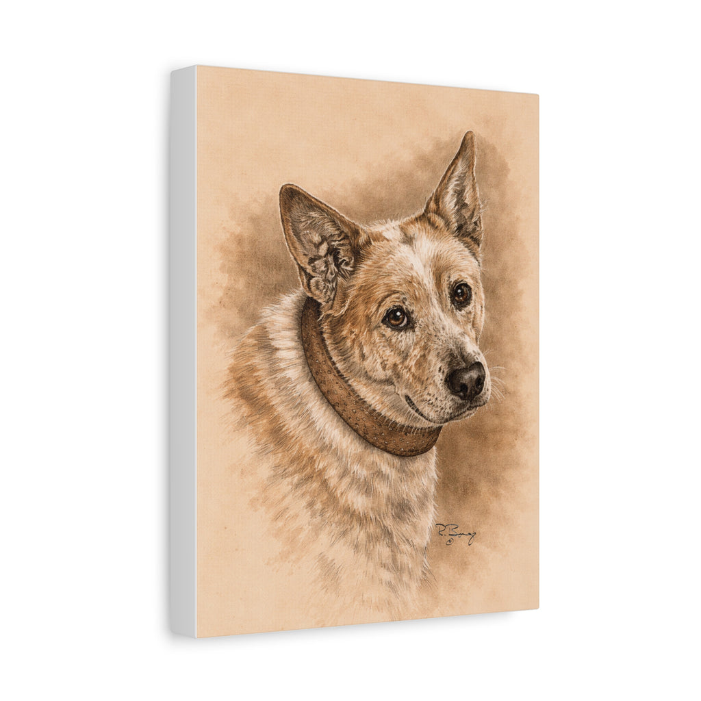Australian Cattle Dog (Heeler) Stretched Canvas