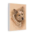 Australian Cattle Dog (Heeler) Stretched Canvas