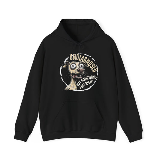 Undiagnosed But Aint Right Hoodie