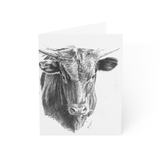 Note Cards Longhorn Design Set