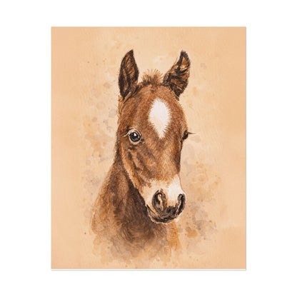 Star Colt Archival Paper Print