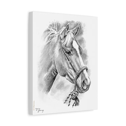 Stretched Canvas Vaquero Horse