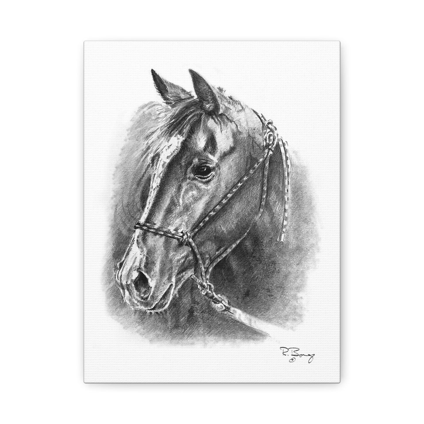 Quarter Horse Halter Custom Stretched Canvas