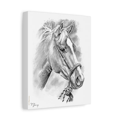 Stretched Canvas Vaquero Horse