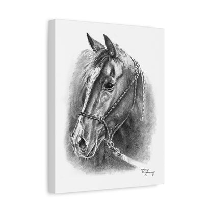 Quarter Horse Halter Custom Stretched Canvas