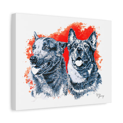 Two Cow Dogs Stretched Canvas