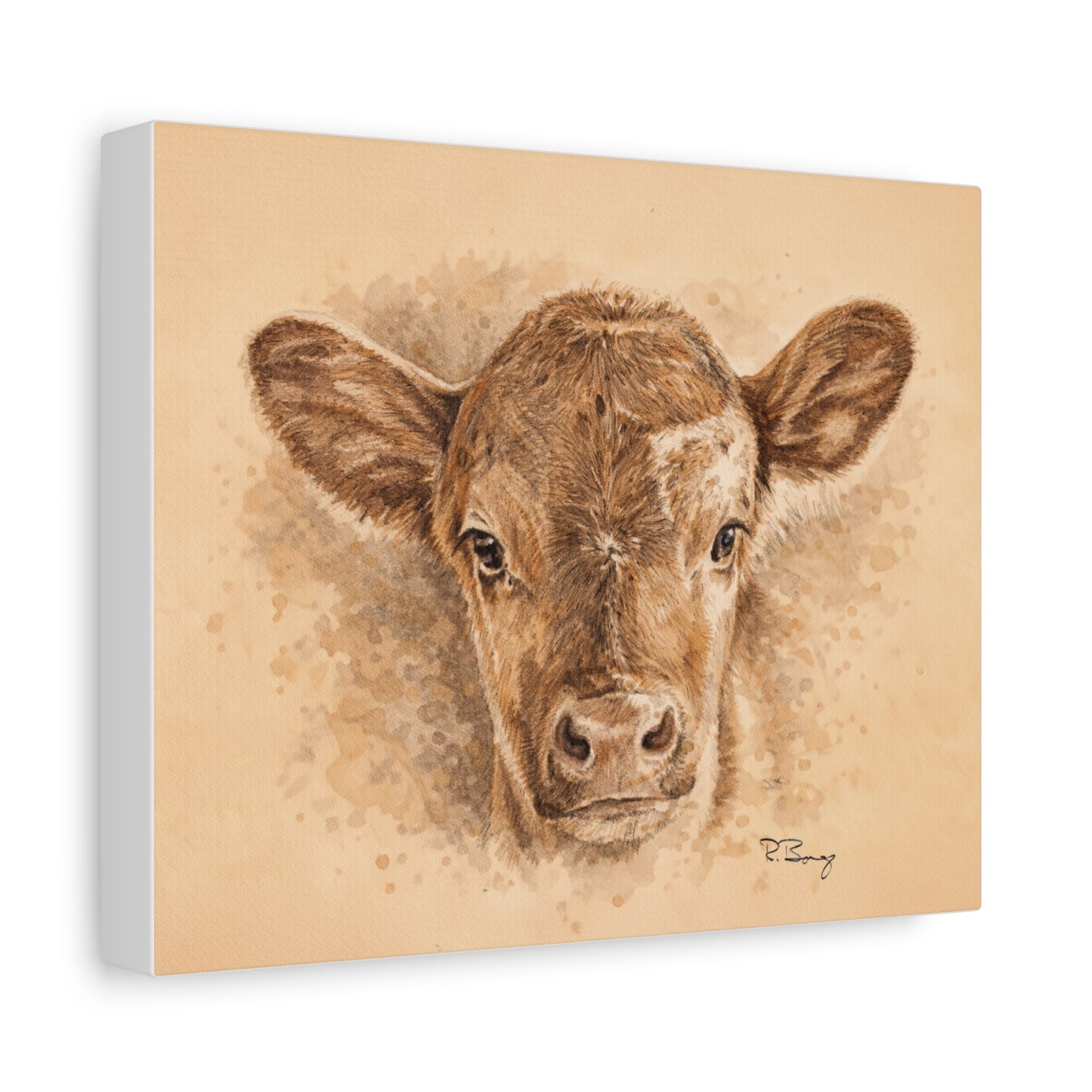 Calf Ears Stretched Canvas Print