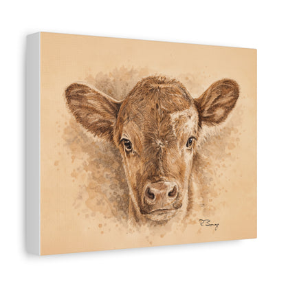 Calf Ears Stretched Canvas Print