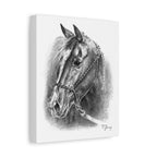 Quarter Horse Halter Custom Stretched Canvas