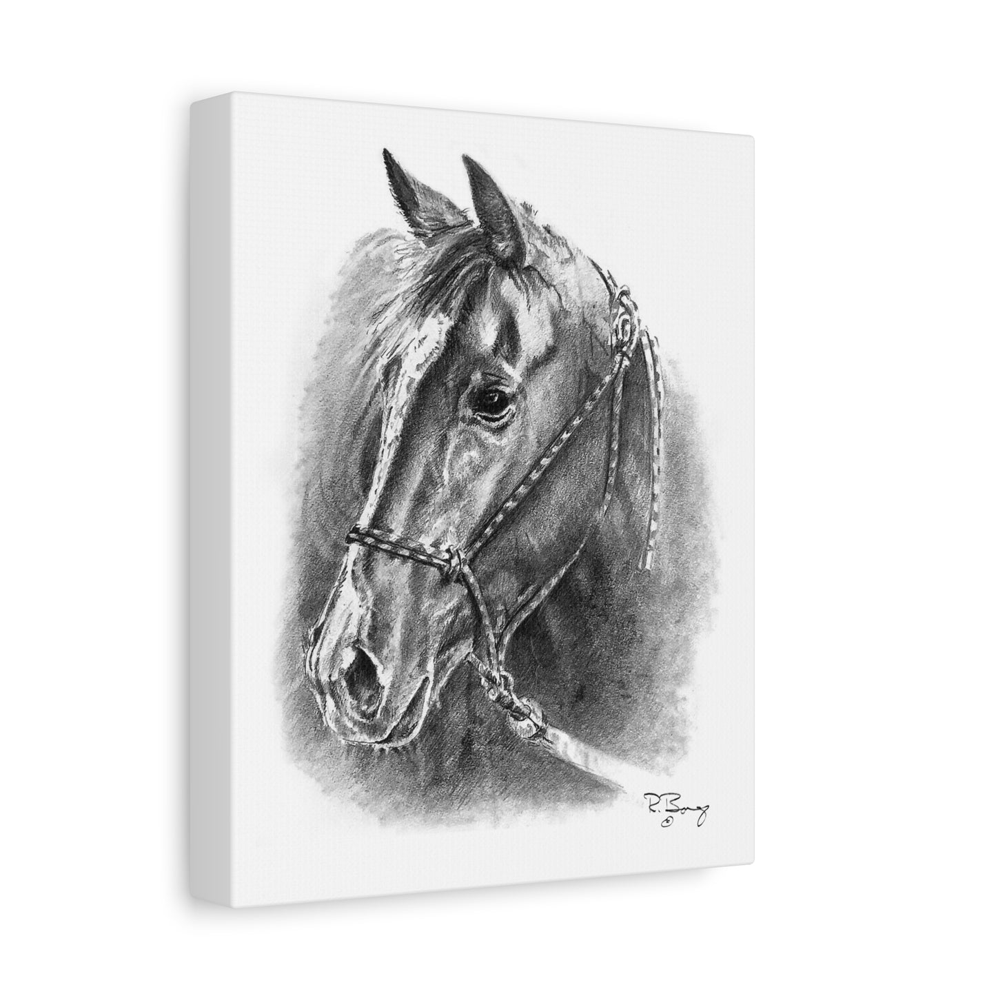 Quarter Horse Halter Custom Stretched Canvas