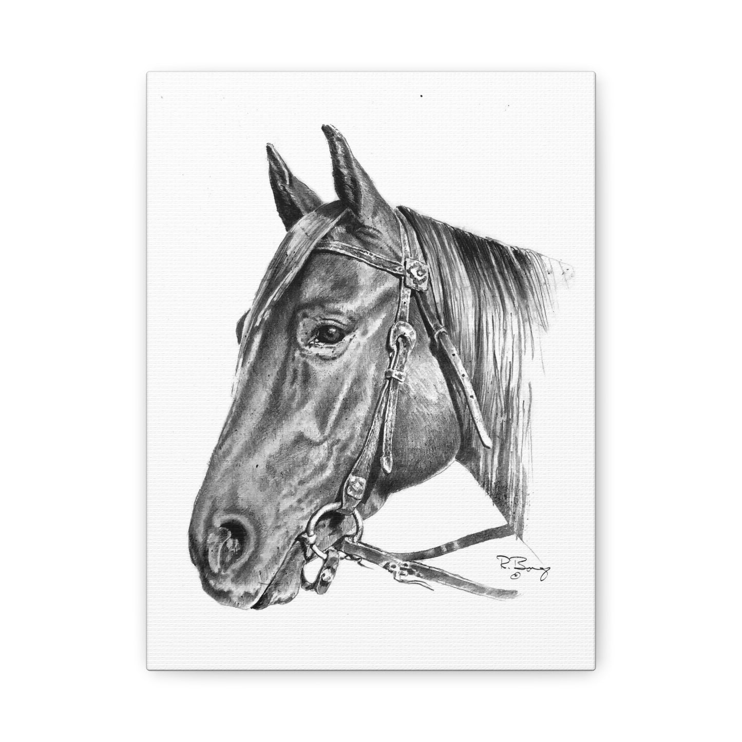 Horse Head, Custom Stretched Canvas