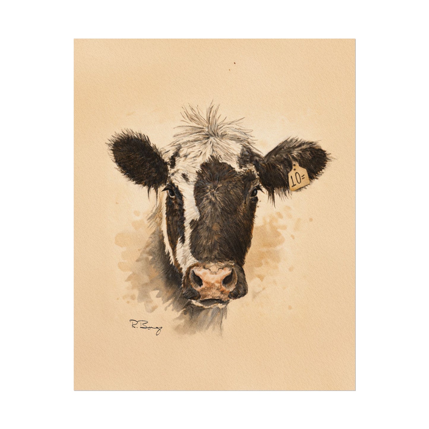 Scruffy Cow Portrait with Eartag Print