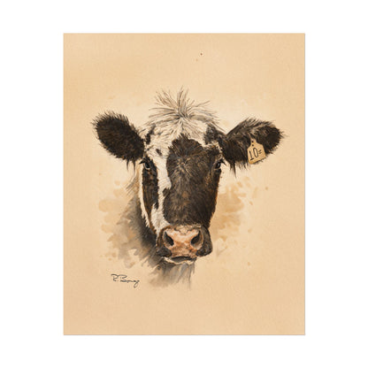 Scruffy Cow Portrait with Eartag Print