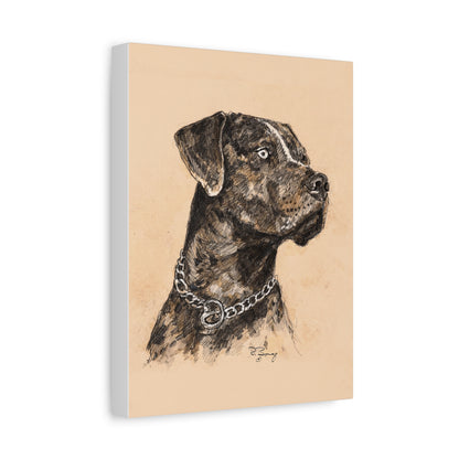 Catahoula Stretched Canvas Print