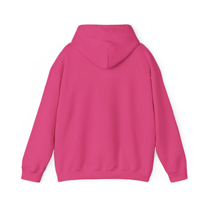 Undiagnosed But Aint Right Hoodie