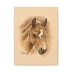 Lightning Colt Stretched Canvas Print — Matte 1.25"