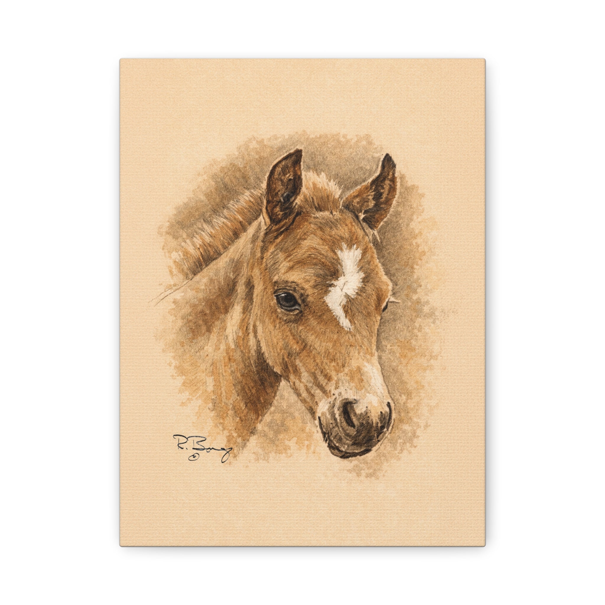 Lightning Colt Stretched Canvas Print — Matte 1.25"