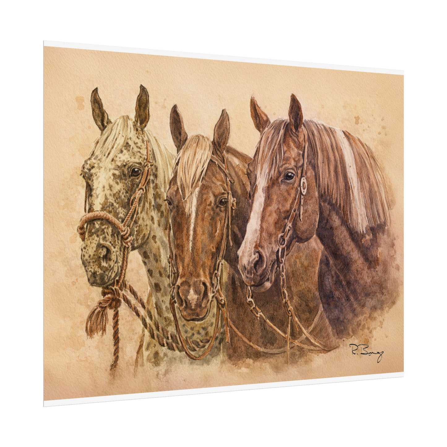 Horse Trio Print
