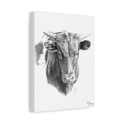 Young Longhorn Steer, stretched Canvas