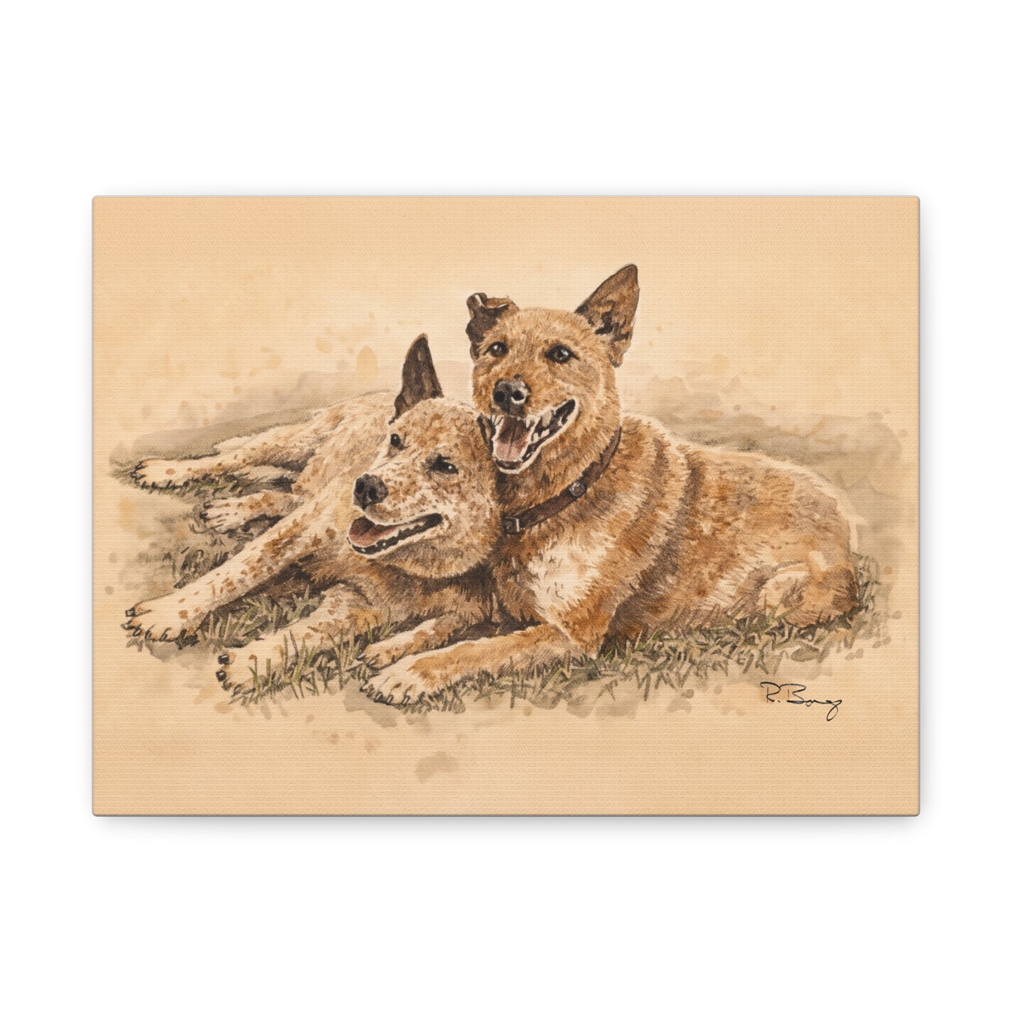 Two Cow Dogs Stretched Canvas Print