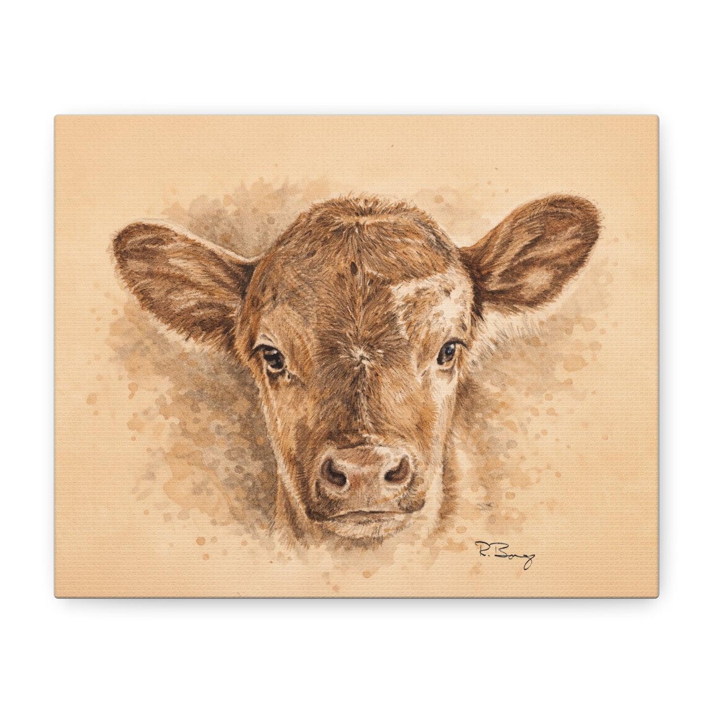 Calf Ears Stretched Canvas Print
