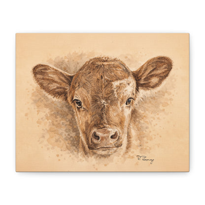 Calf Ears Stretched Canvas Print