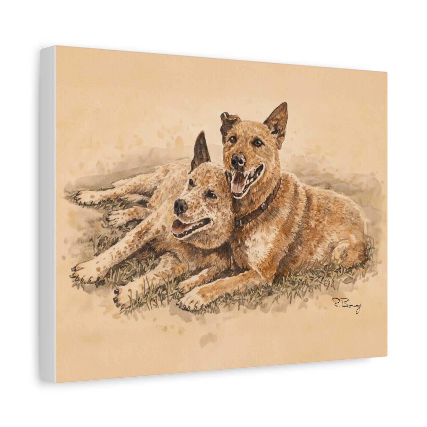 Two Cow Dogs Stretched Canvas Print