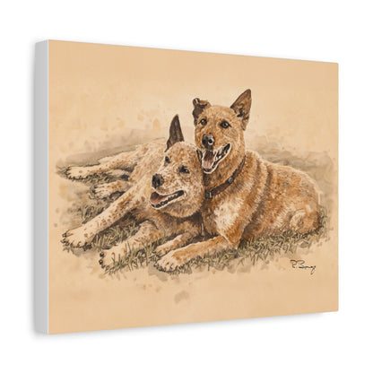 Two Cow Dogs Stretched Canvas Print