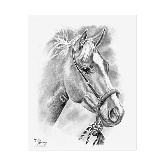 Vaquero Horse in Bosal Print