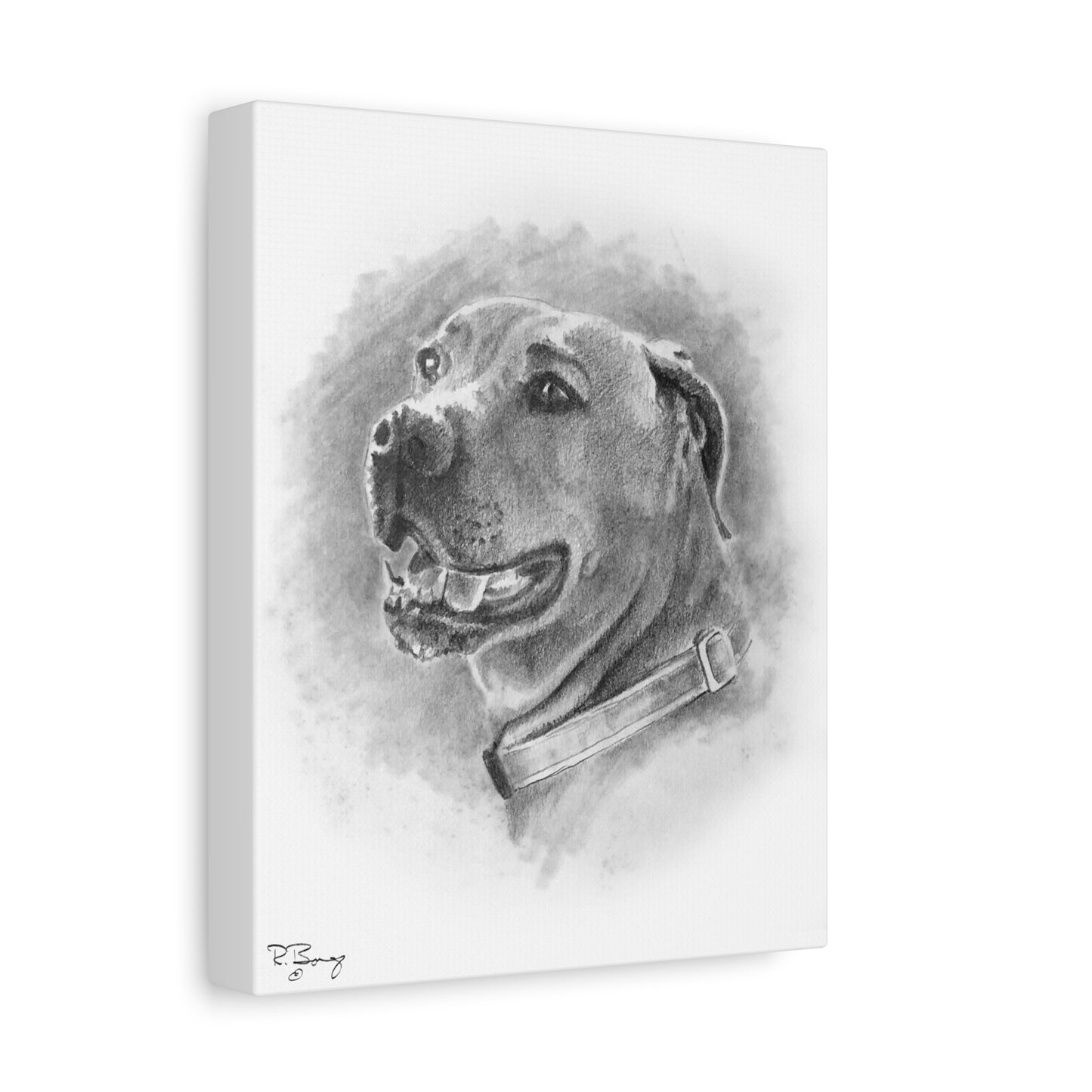 Black Mouth Cur, Custom Stretched Canvas