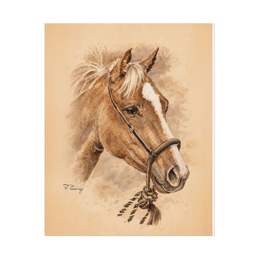 Horse in Mecate — Rolled Art Print