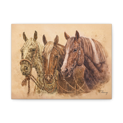 Stretched Canvas Wall Art — Trio of Horses
