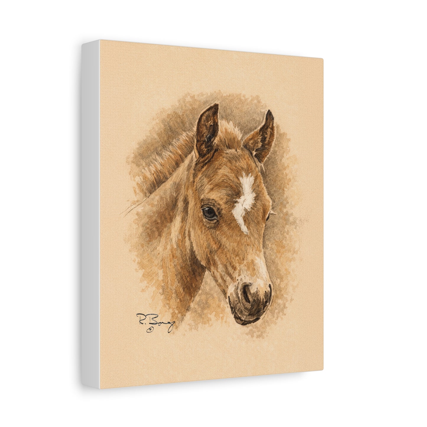 Lightning Colt Stretched Canvas Print