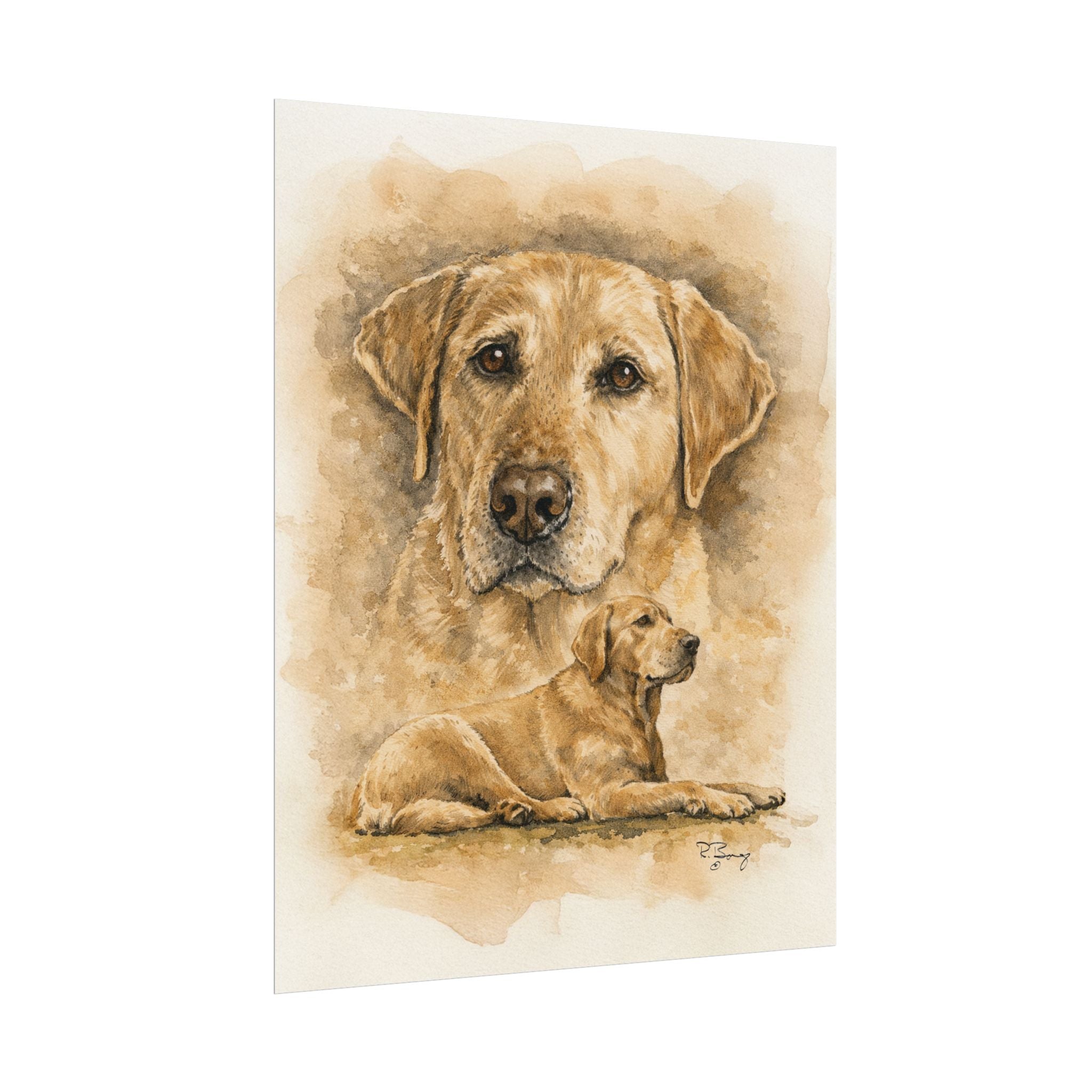 Yellow Labrador Archival Poster — "Stella"