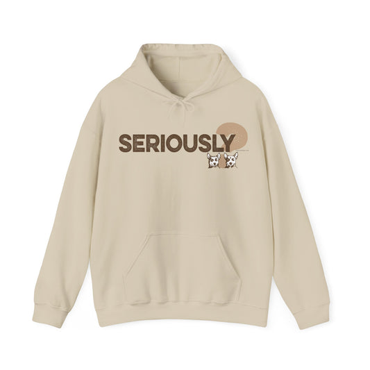 SERIOUSLY?, Heavy-Blend Hooded Sweatshirt