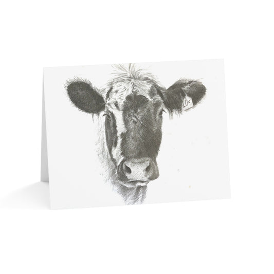 Old Cow Blank Notecards