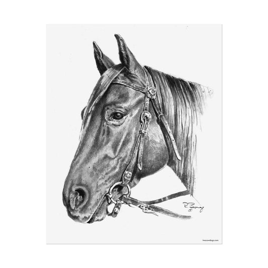 Horse Head, Custom Print