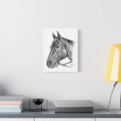 Horse Head, Custom Stretched Canvas