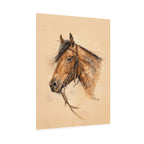 Mustang Color Print