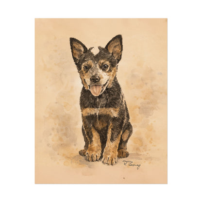 Heeler Puppy, Australian Cattle Dog, Archival Paper Print