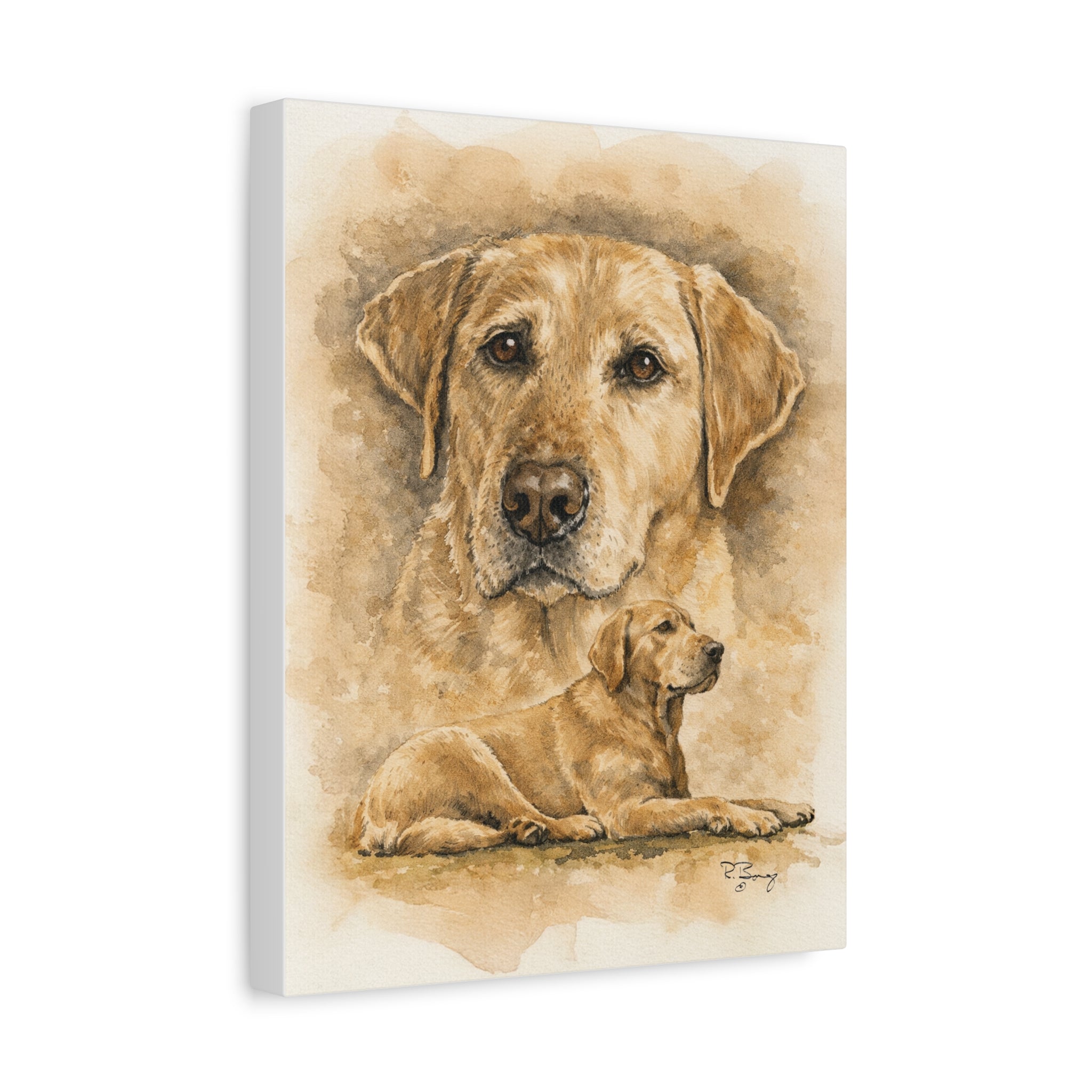 Yellow Lab Stretched Canvas Print — "Stella" Matte 1.25"