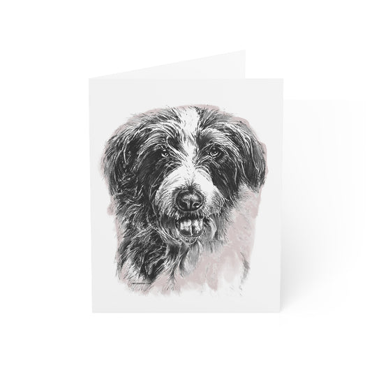 Sheepdog Blank Notecards (envelopes included)