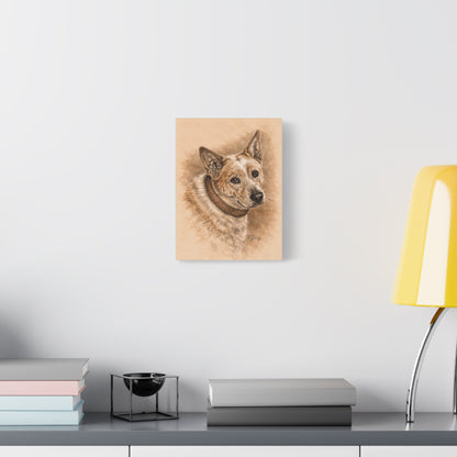 Australian Cattle Dog (Heeler) Stretched Canvas