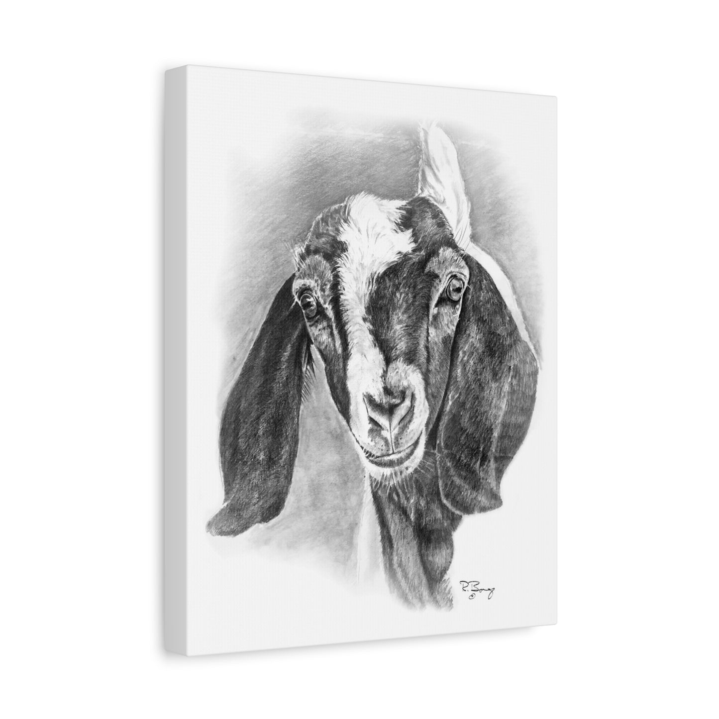 Boer Goat Canvas