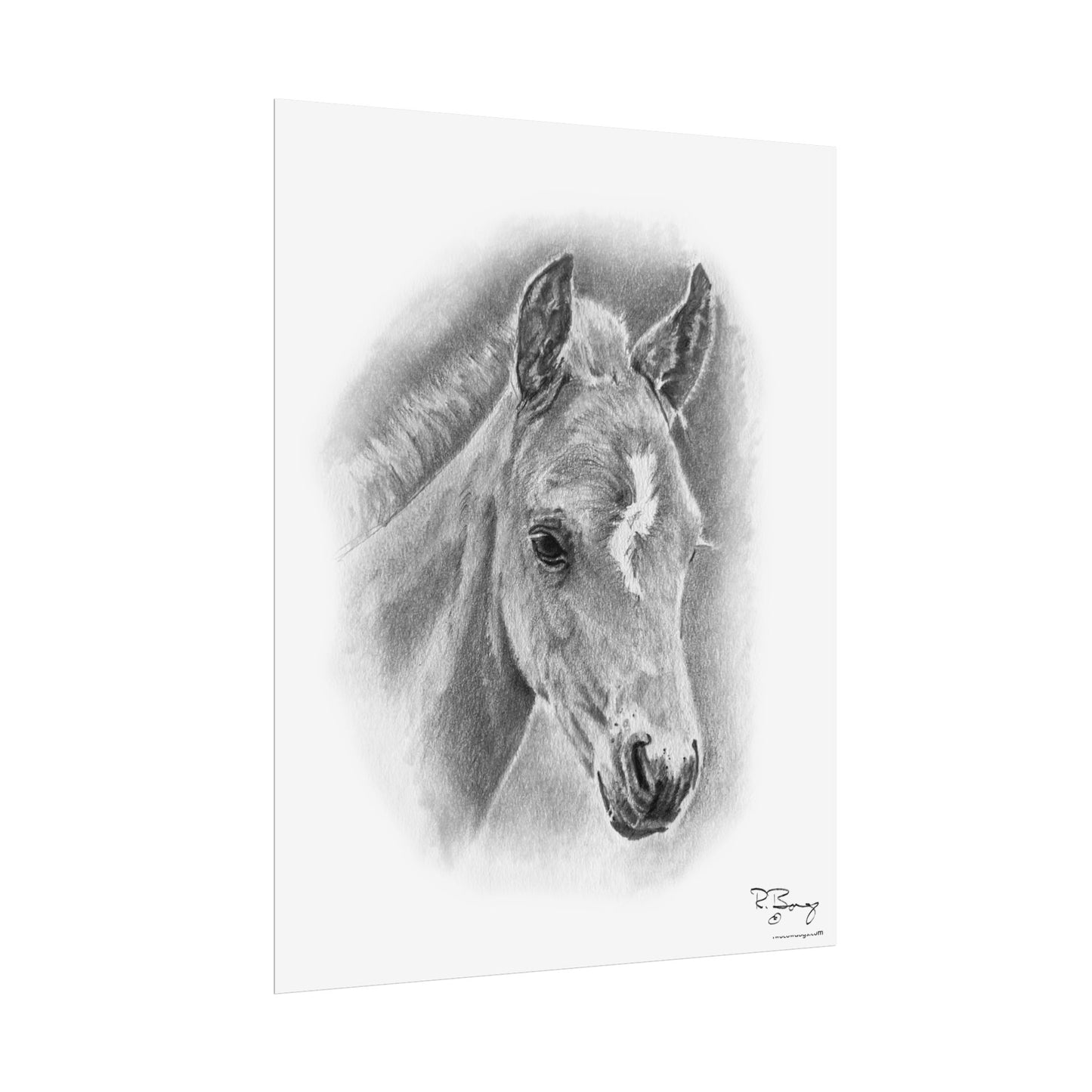 Vertical Print - Foal with Crooked Star