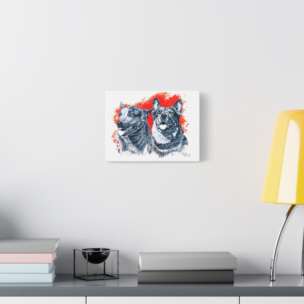 Two Cow Dogs Stretched Canvas