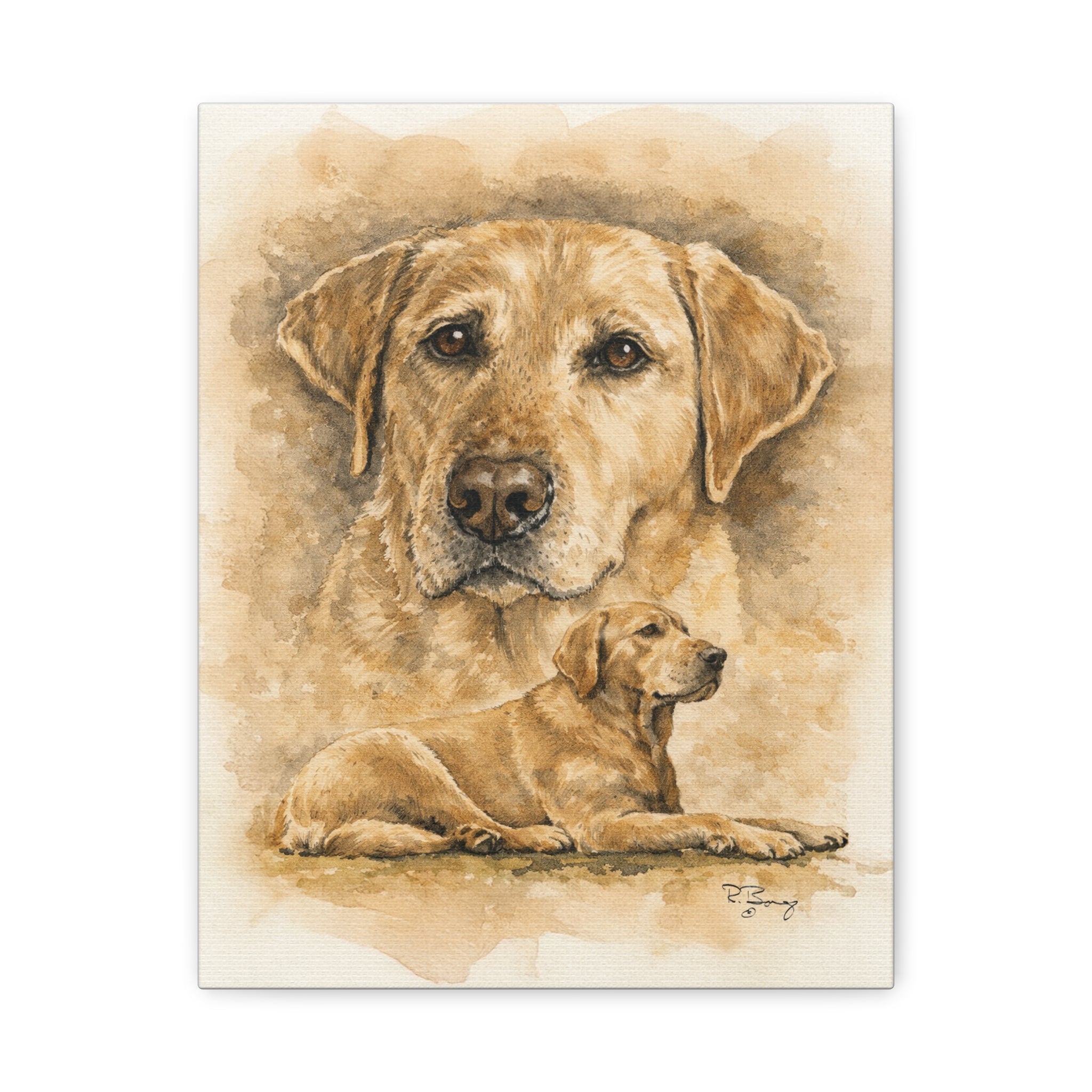 Yellow Lab Stretched Canvas Print — "Stella" Matte 1.25"