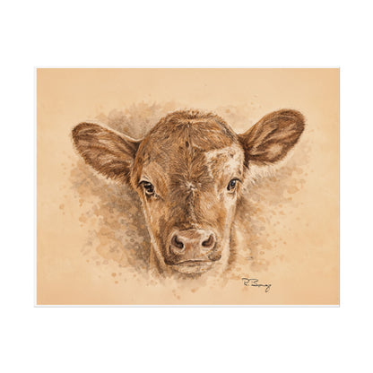 Calf Ears Rolled Print